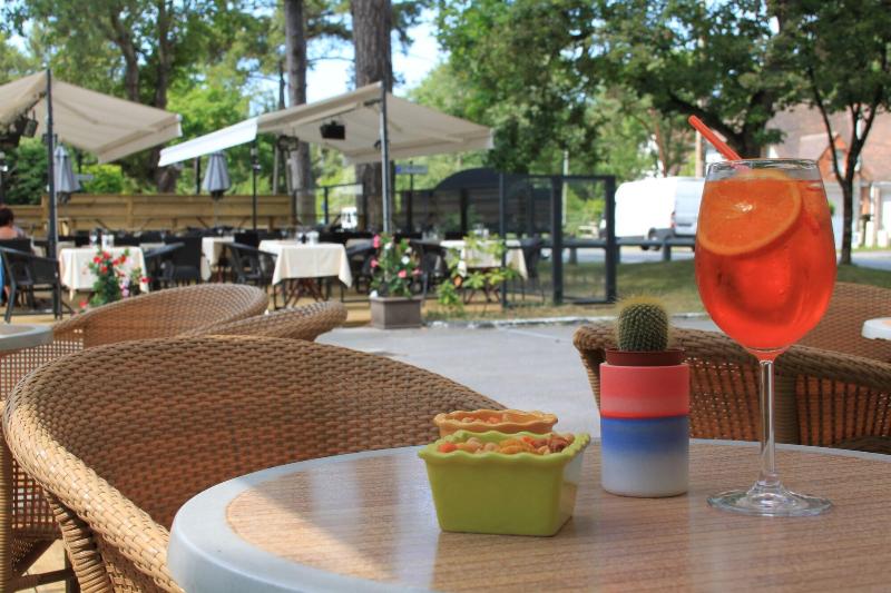 Hotel Le Regina - Teras