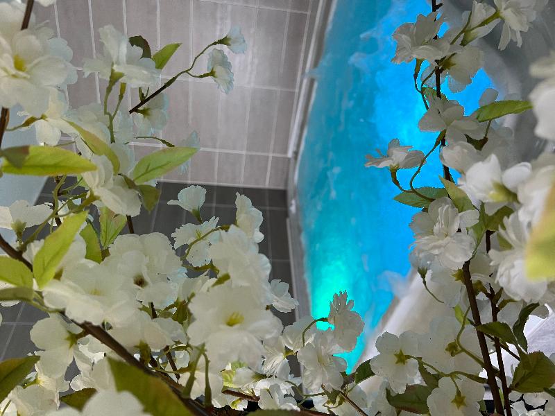 Hotel Le Calme Des Pins Spa - Aktivite