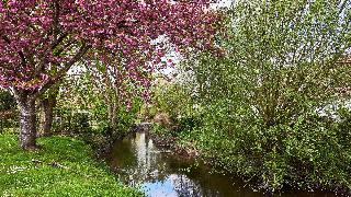 Domaine Les Saules fotoÄŸrafÄ±