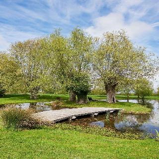 Domaine Les Saules fotoÄŸrafÄ±