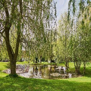 Domaine Les Saules fotoÄŸrafÄ±