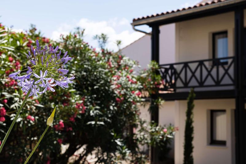 Best Western Premier Hotel des Vignes et des Anges - Genel