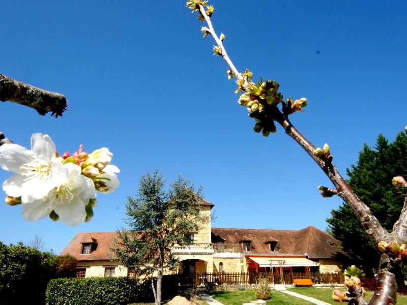 Hotel Les Collines - Genel