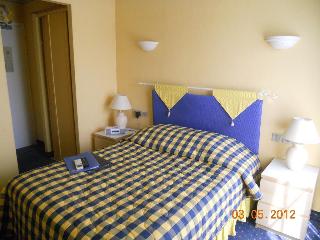 Hotel Des Cayrons otel fotoğrafı