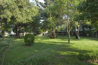 Paraiso fotoÄŸrafÄ±