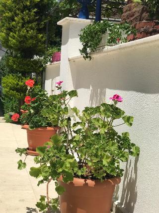 Rota Hotel Dalyan fotoÄŸrafÄ±