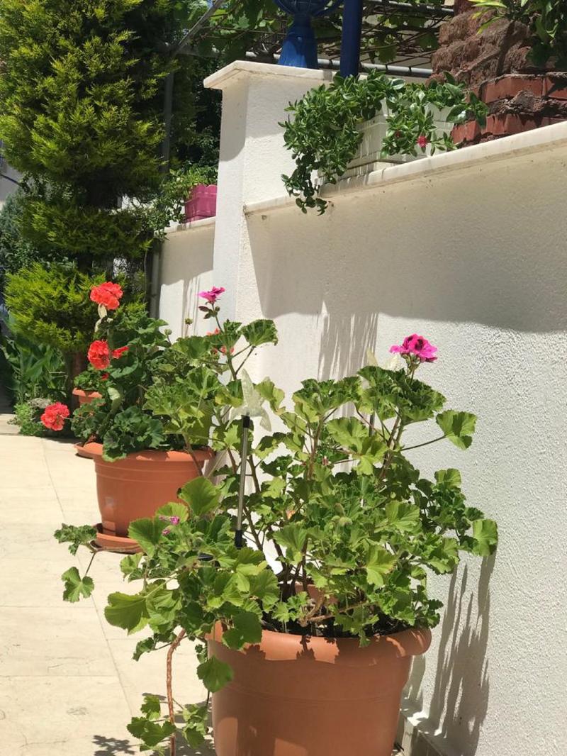 Rota Hotel Dalyan - Genel