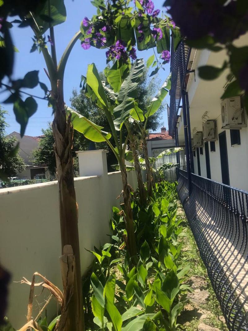 Rota Hotel Dalyan - Genel