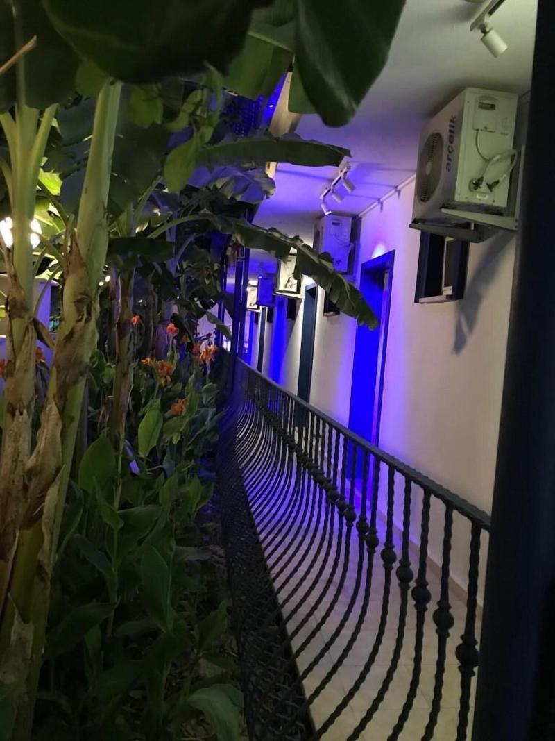 Rota Hotel Dalyan - Teras
