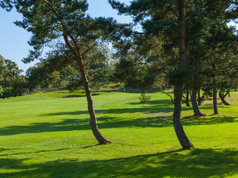 Slaley Hall Hotel, Spa & Golf Resort - Aktivite