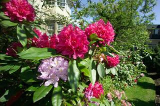 Dalmeny Park Country House Hotel Gardens fotoÄŸrafÄ±