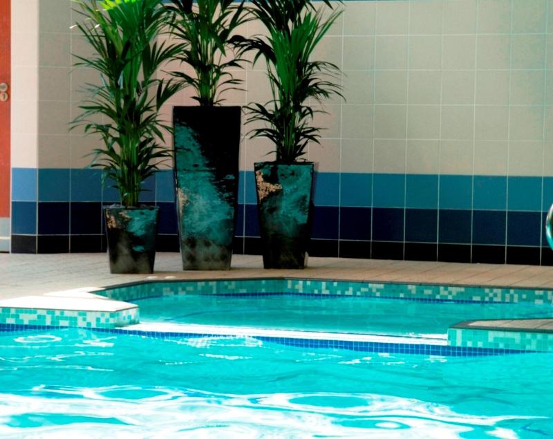 Burleigh Court Hotel and Leisure - Havuz