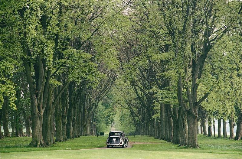 Lucknam Park, Emblems Collection - Genel