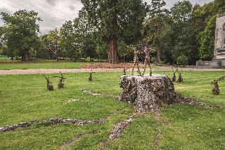 De Vere Beaumont Estate fotoÄŸrafÄ±