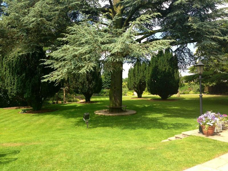 The Parsonage Hotel   Spa - Genel