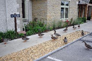 The Crown Wilde Thyme & Honey Hotel fotoÄŸrafÄ±