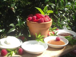 Yalbury Cottage   Restaurant fotoÄŸrafÄ±