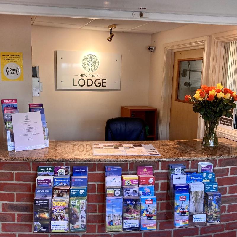 New Forest Lodge - Lobi