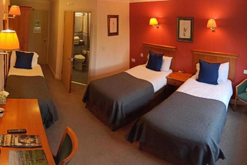 New Forest Lodge - Oda