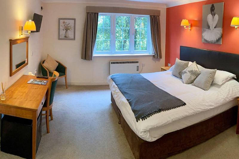 New Forest Lodge - Oda