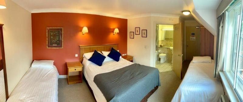 New Forest Lodge - Oda
