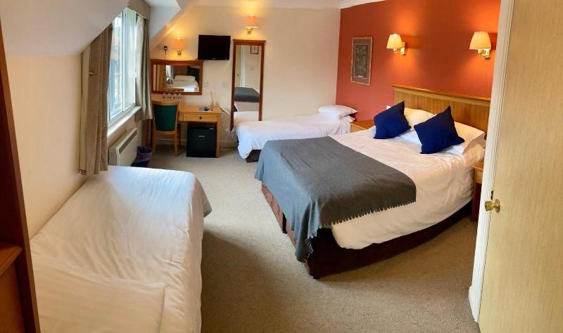 New Forest Lodge - Oda