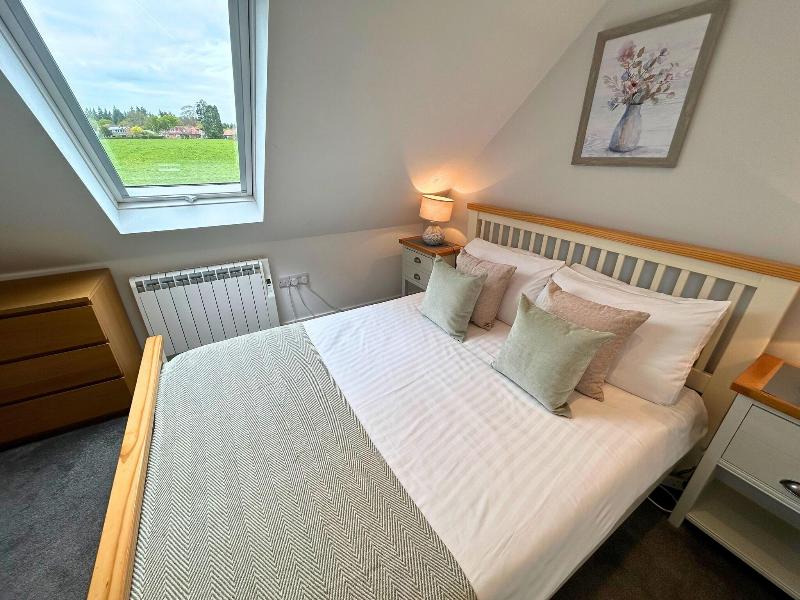 New Forest Lodge - Oda