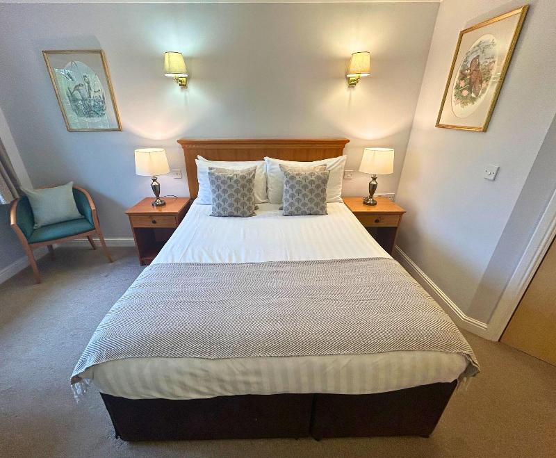 New Forest Lodge - Oda