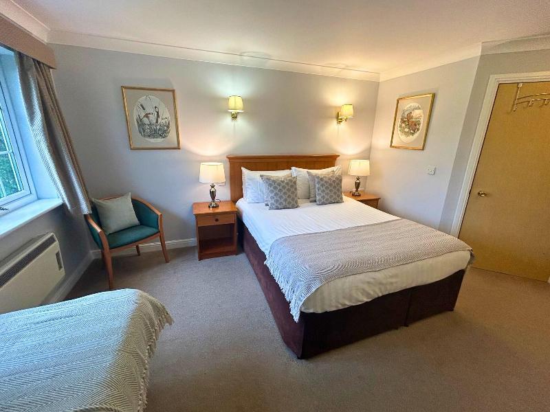 New Forest Lodge - Oda