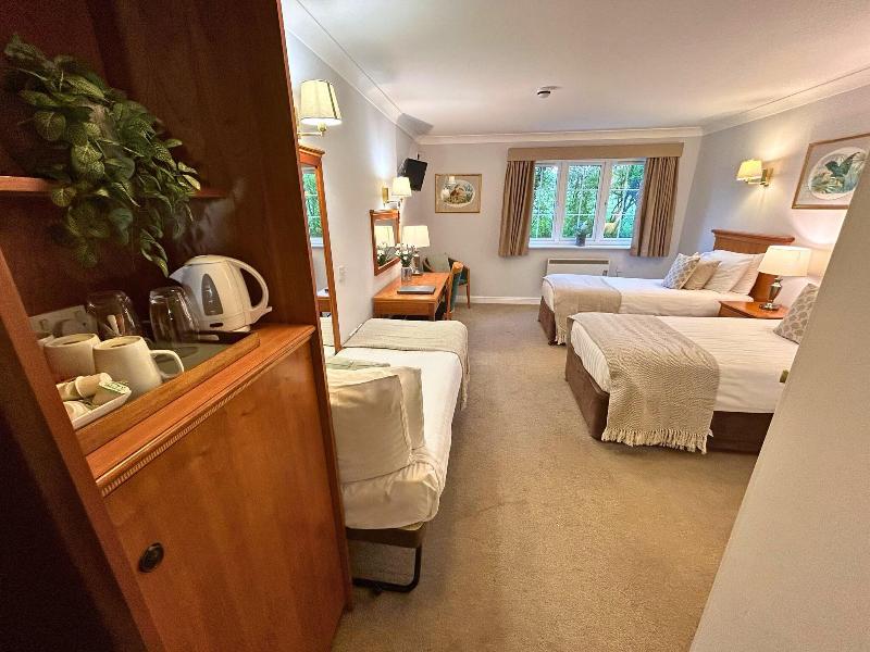 New Forest Lodge - Oda