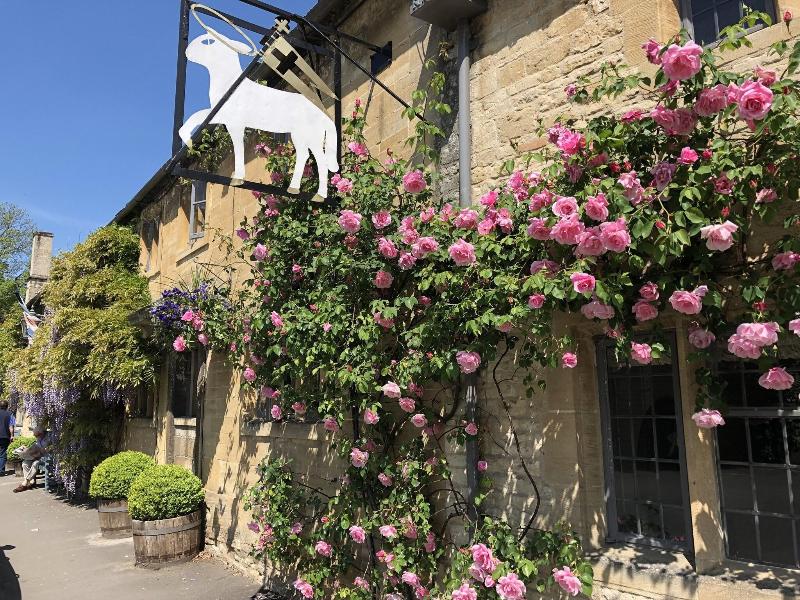 Lamb Inn - Genel