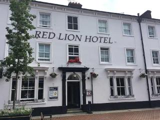 The Red Lion Hotel fotoÄŸrafÄ±