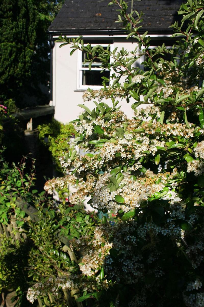 Townhouse Rooms - Genel