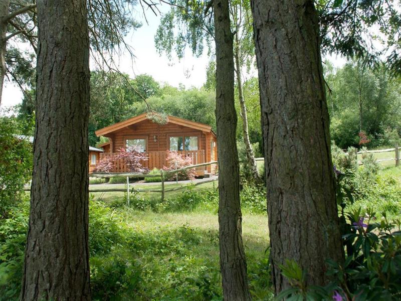Cottesmore Golf   Country Club - Genel
