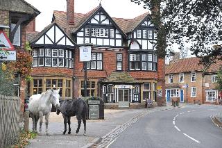 The Montagu Arms Hotel fotoÄŸrafÄ±