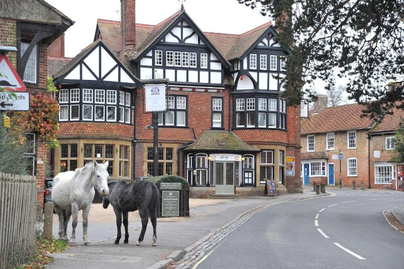 The Montagu Arms Hotel - Genel