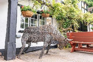 The Bull Inn fotoÄŸrafÄ±