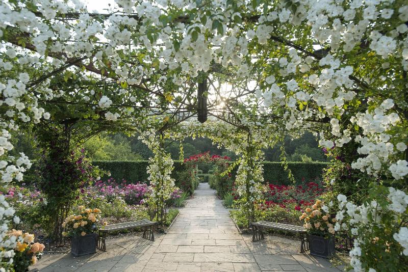 The Royal Hotel - Genel