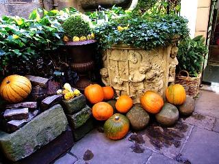 Witchery by the Castle fotoÄŸrafÄ±