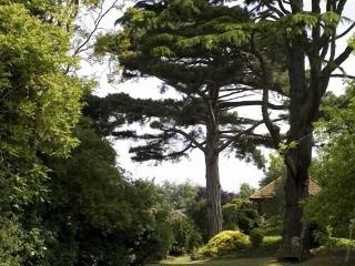 Ebury Hotel fotoÄŸrafÄ±