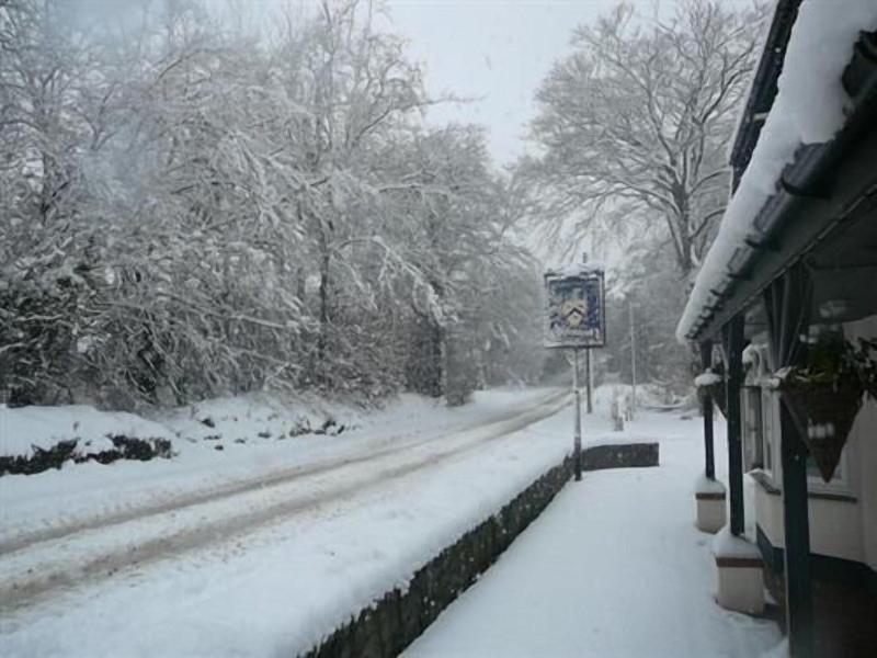 The Bickford Arms - Genel