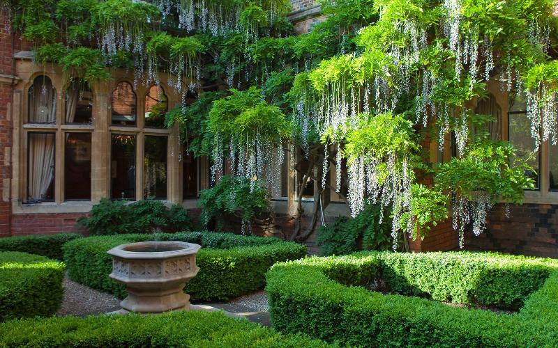 Warren House - Genel