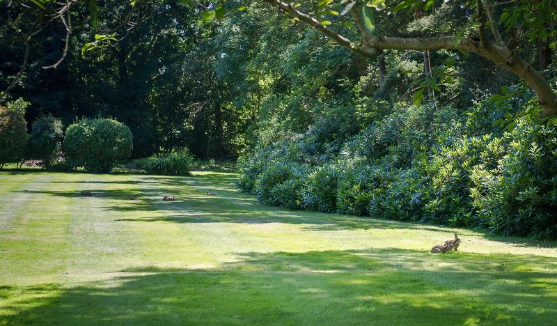 Claverton Country House - Genel