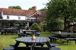 The Talbot Ripley fotoÄŸrafÄ±