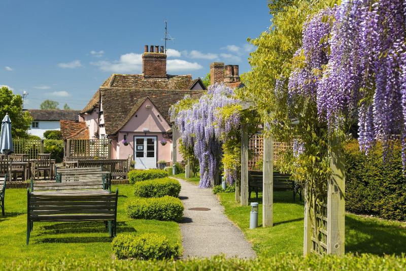Red Lion Hinxton - Genel