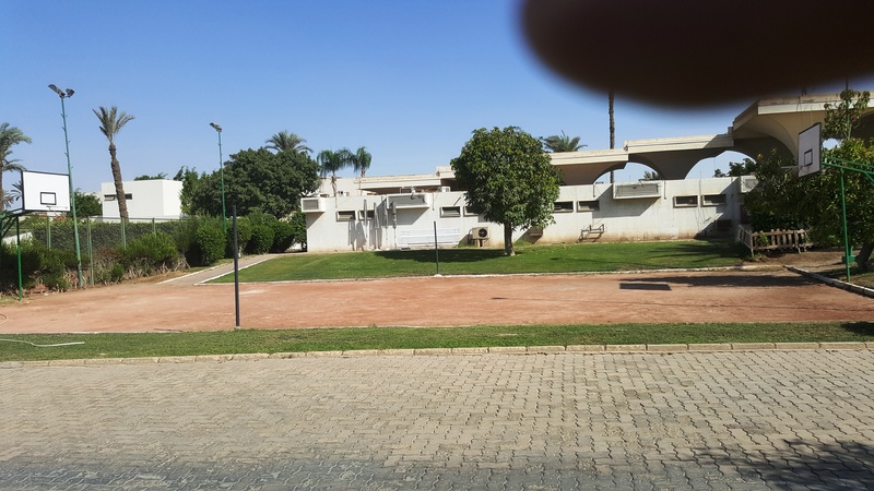 Pyramids Park Resort - Aktivite