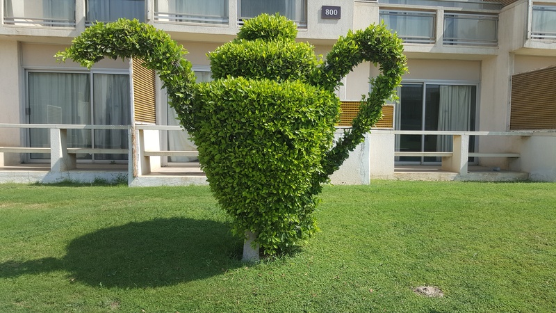 Pyramids Park Resort - Genel