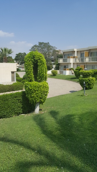 Pyramids Park Resort - Genel