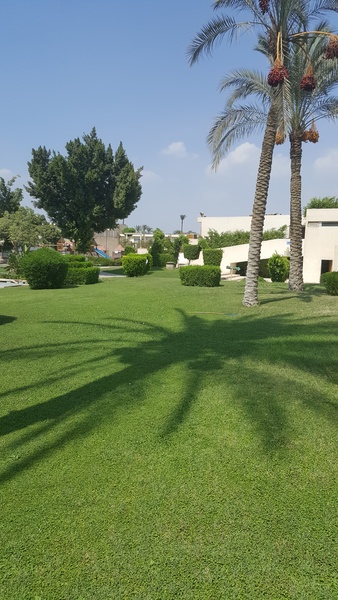Pyramids Park Resort - Genel