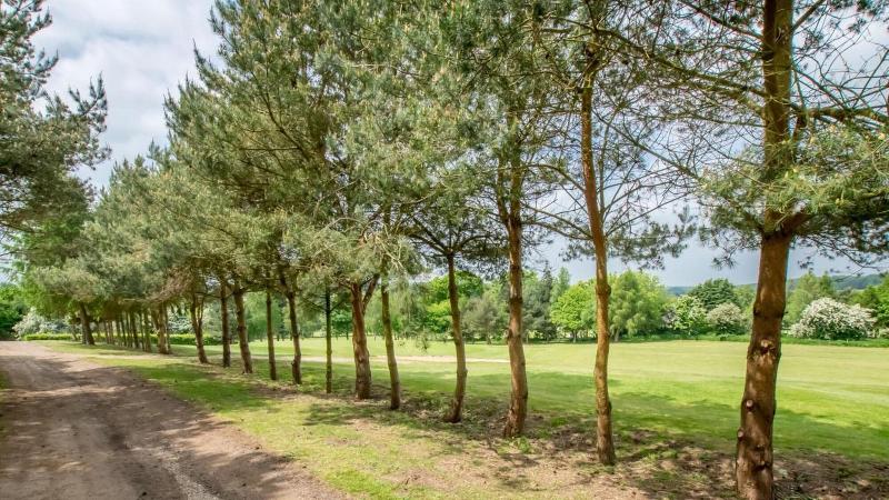 Wensum Valley Hotel Golf   Country Club - Genel